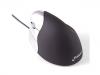 Souris verticale Evoluent VerticalMouse 3 pour droitier - USB / PS/2 connexion